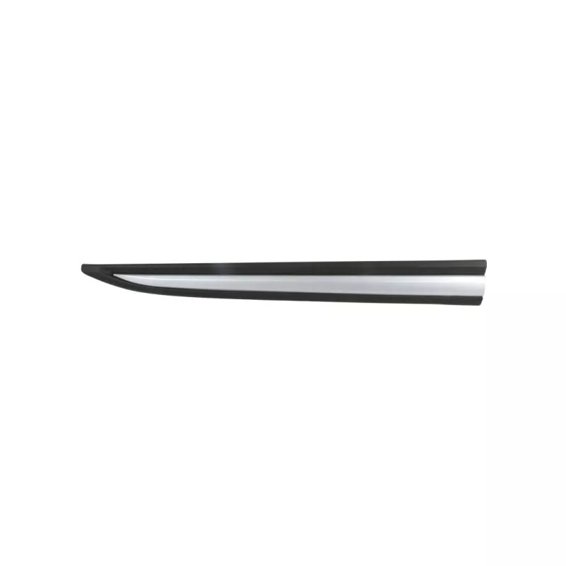 Baguette et bande protectrice, porte avant droit BLIC 5703-04-3753572P