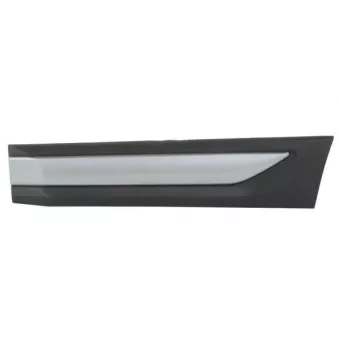 Baguette et bande protectrice, porte arrière gauche BLIC 5703-04-3753573P