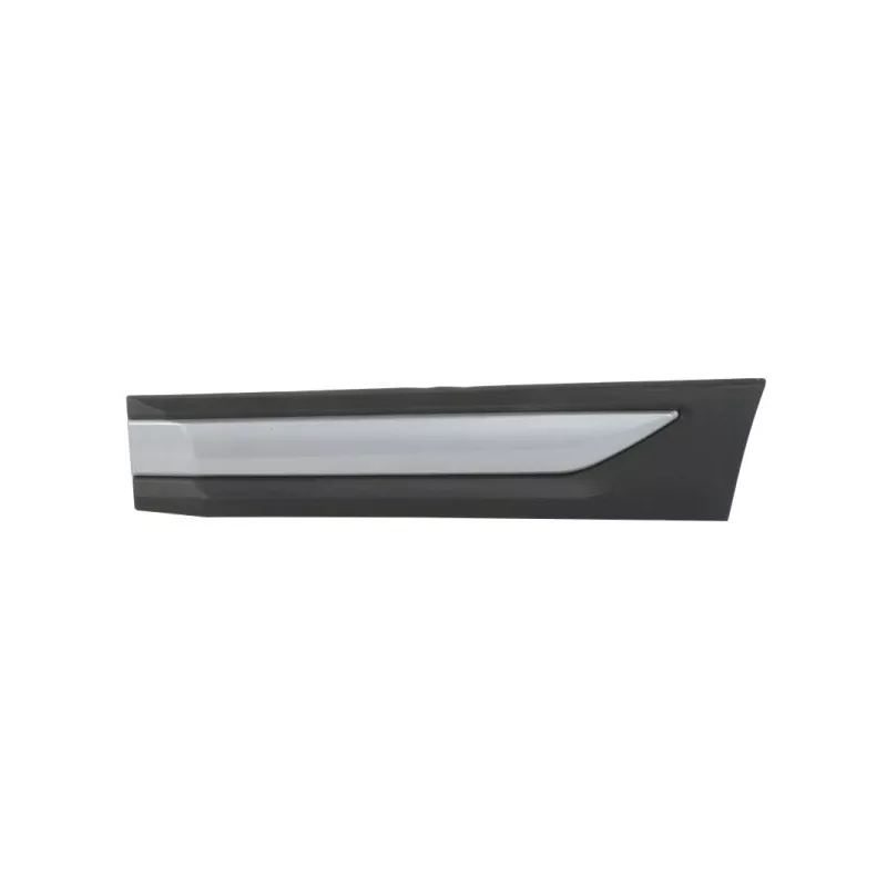 Baguette et bande protectrice, porte arrière gauche BLIC 5703-04-3753573P