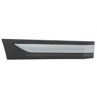 Baguette et bande protectrice, porte arrière droit BLIC 5703-04-3753574P
