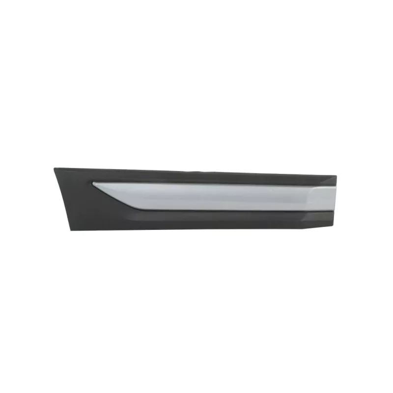 Baguette et bande protectrice, porte arrière droit BLIC 5703-04-3753574P