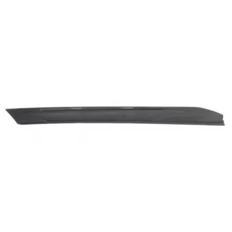 Baguette et bande protectrice, aile avant gauche BLIC 5703-04-5547421P
