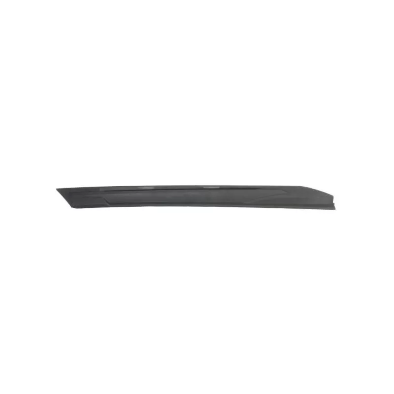 Baguette et bande protectrice, aile avant gauche BLIC 5703-04-5547421P