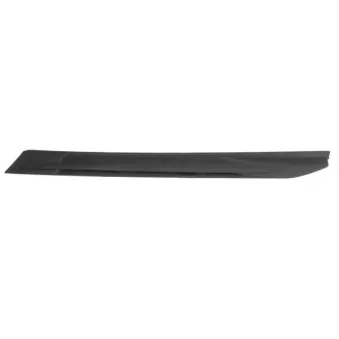 Baguette et bande protectrice, aile avant droit BLIC 5703-04-5547422P