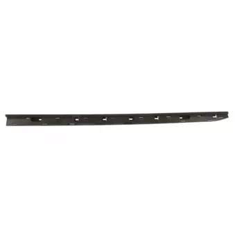 Baguette et bande protectrice, porte avant gauche BLIC 5703-04-6001571P