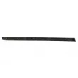 Baguette et bande protectrice, porte avant gauche BLIC 5703-04-6001571P - Visuel 2