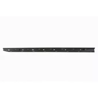 Baguette et bande protectrice, porte avant droit BLIC 5703-04-6001572P