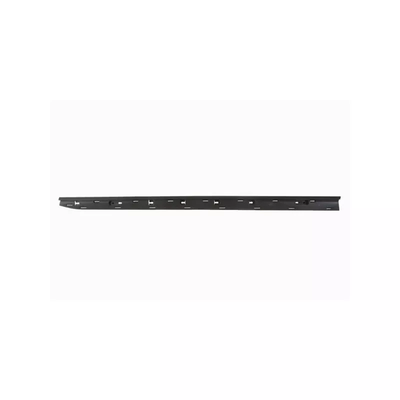Baguette et bande protectrice, porte avant droit BLIC 5703-04-6001572P