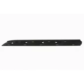 Baguette et bande protectrice, porte arrière gauche BLIC 5703-04-6001573P