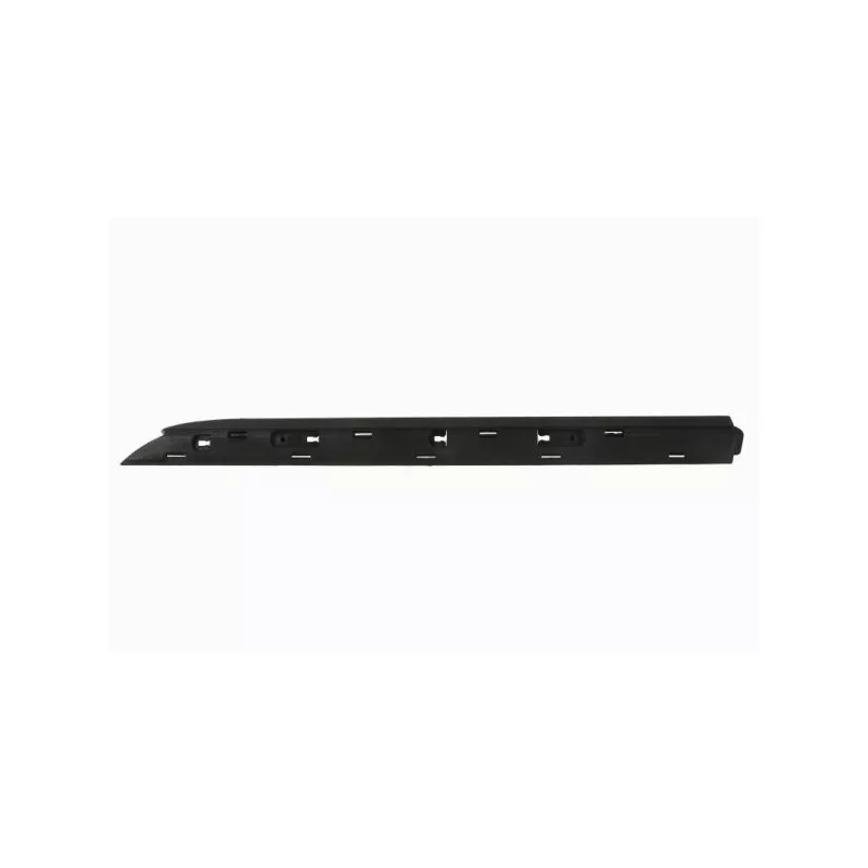 Baguette et bande protectrice, porte arrière gauche BLIC 5703-04-6001573P