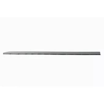 Baguette et bande protectrice, porte avant gauche BLIC 5703-04-6001575P