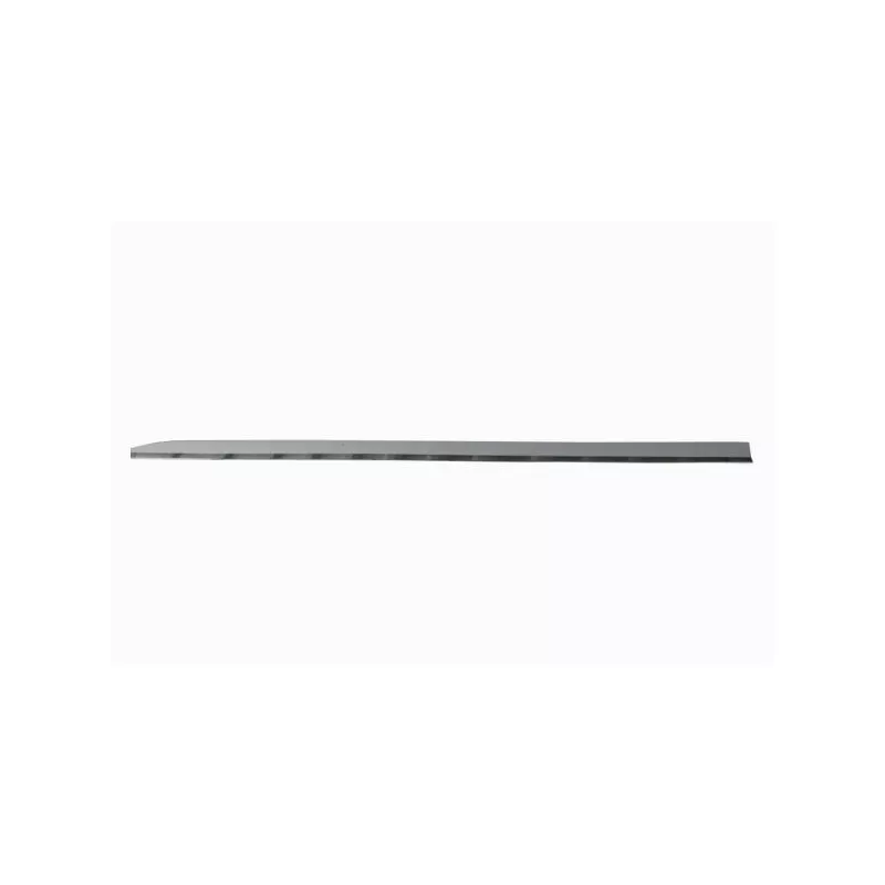 Baguette et bande protectrice, porte avant gauche BLIC 5703-04-6001575P