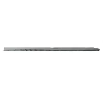 Baguette et bande protectrice, porte avant droit BLIC 5703-04-6001576P