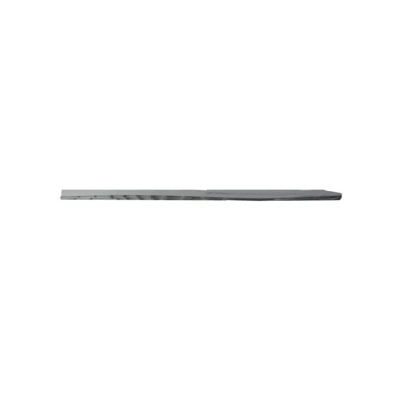 Baguette et bande protectrice, porte avant droit BLIC 5703-04-6001576P