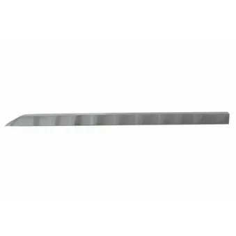 Baguette et bande protectrice, porte arrière gauche BLIC 5703-04-6001577P