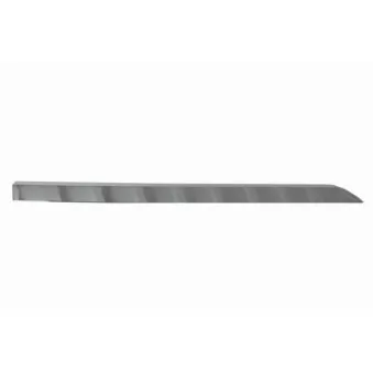 Baguette et bande protectrice, porte arrière droit BLIC 5703-04-6001578P