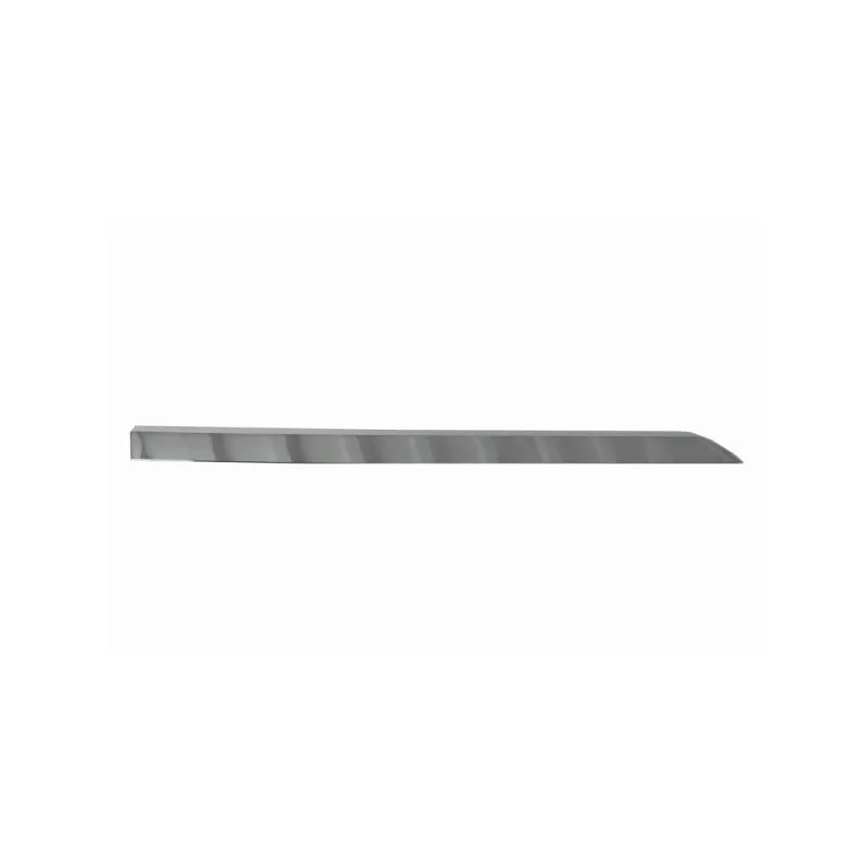 Baguette et bande protectrice, porte arrière droit BLIC 5703-04-6001578P