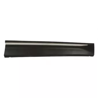 Baguette et bande protectrice, aile avant droit BLIC 5703-04-7528572P