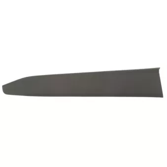 Baguette et bande protectrice, porte avant gauche BLIC 5703-04-8182571P