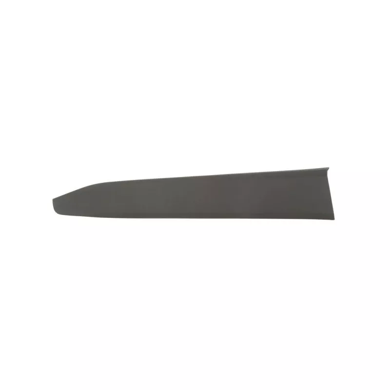 Baguette et bande protectrice, porte avant gauche BLIC 5703-04-8182571P