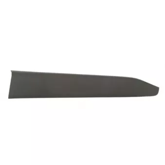 Baguette et bande protectrice, porte avant droit BLIC 5703-04-8182572P