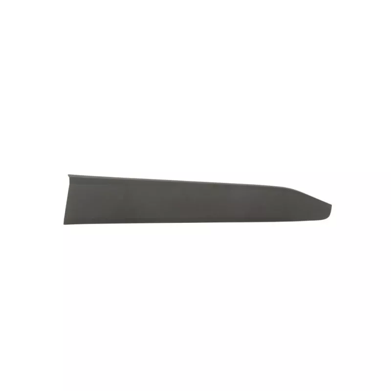 Baguette et bande protectrice, porte avant droit BLIC 5703-04-8182572P