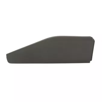 Baguette et bande protectrice, porte arrière droit BLIC 5703-04-8182574P
