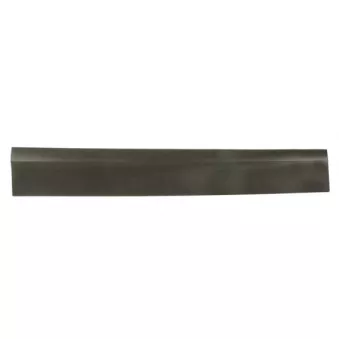 Baguette et bande protectrice, porte avant gauche BLIC