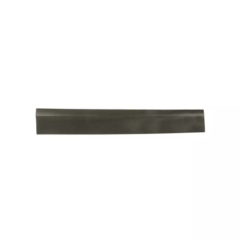 Baguette et bande protectrice, porte avant gauche BLIC 5703-04-9597571P