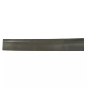 Baguette et bande protectrice, porte avant droit BLIC 5703-04-9597572P