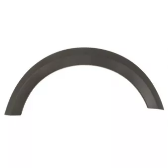 Baguette et bande protectrice, aile avant gauche BLIC 5703-05-1307923P