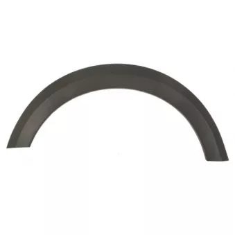 Baguette et bande protectrice, aile avant droit BLIC 5703-05-1307924P