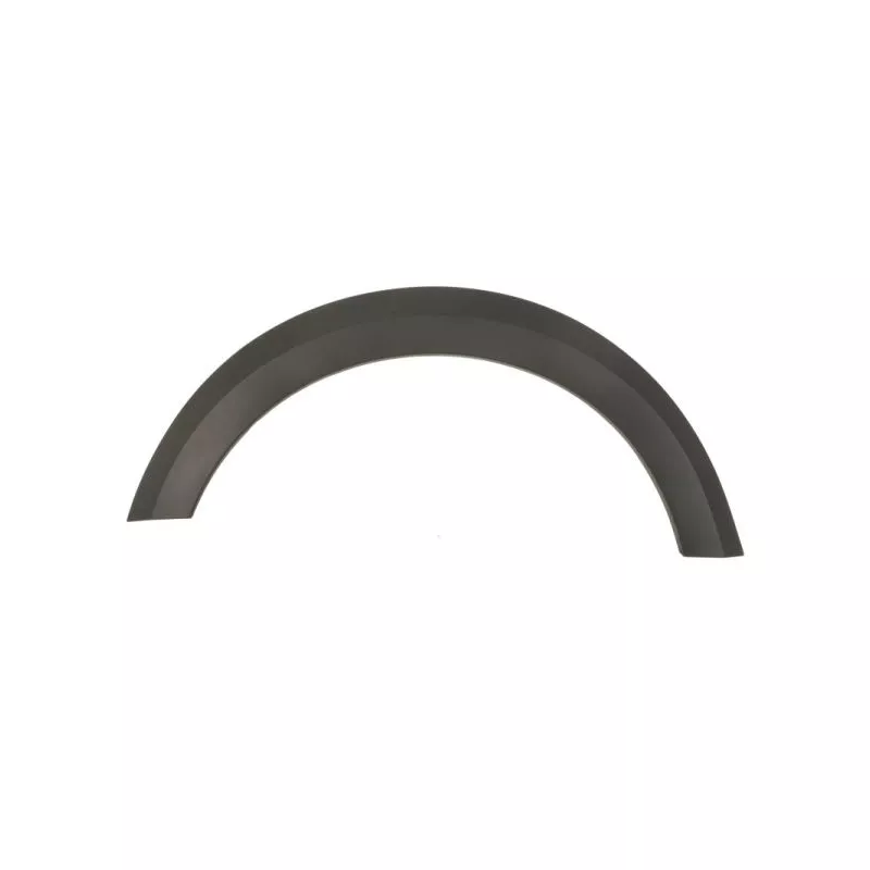 Baguette et bande protectrice, aile avant droit BLIC 5703-05-1307924P