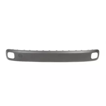Baguette et bande protectrice, pare-chocs BLIC 5703-05-2009970Q