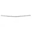 Baguette et bande protectrice, pare-chocs BLIC 5703-05-3529927P - Visuel 1