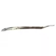Baguette et bande protectrice, pare-chocs avant gauche BLIC 5703-05-3529929P - Visuel 2