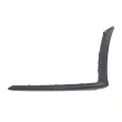 Baguette et bande protectrice, pare-chocs avant gauche BLIC 5703-05-3556921P - Visuel 1