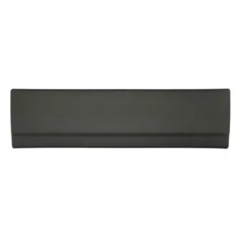 Baguette et bande protectrice, porte arrière gauche BLIC 5703-06-2092575P