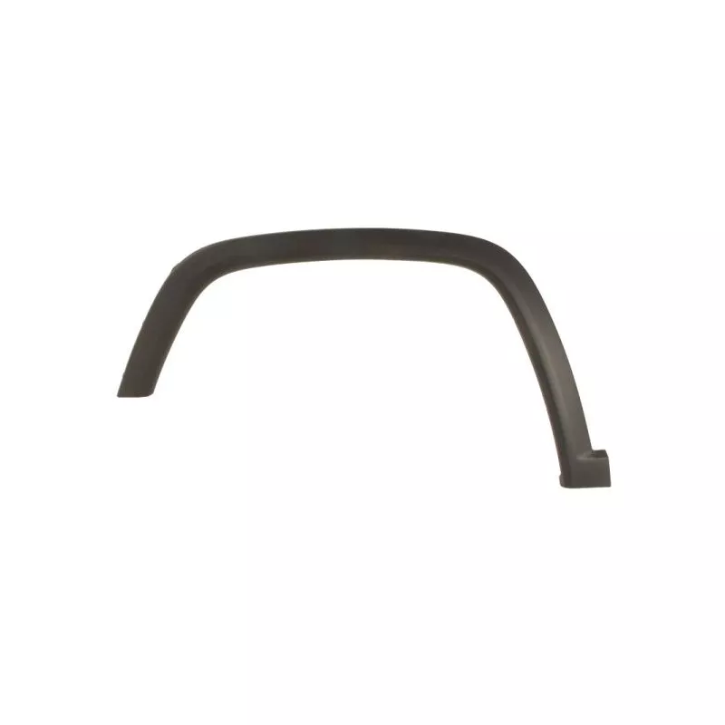 Baguette et bande protectrice, aile avant gauche BLIC 5703-06-3217571P