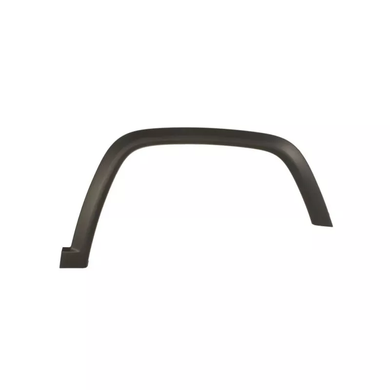 Baguette et bande protectrice, aile avant droit BLIC 5703-06-3217572P