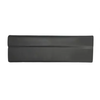 Baguette et bande protectrice, porte arrière droit BLIC 5703-06-6089572P