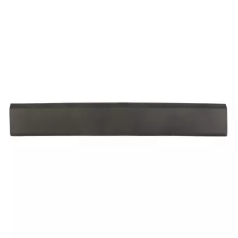 Baguette et bande protectrice, panneau latérale BLIC 5703-06-6089576SP