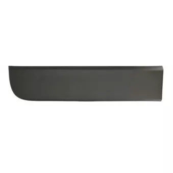 Baguette et bande protectrice, porte arrière gauche BLIC 5703-06-6092571P