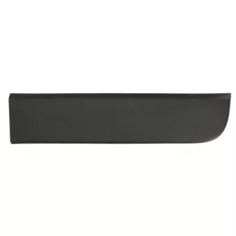 Baguette et bande protectrice, porte arrière droit BLIC 5703-06-6092572P