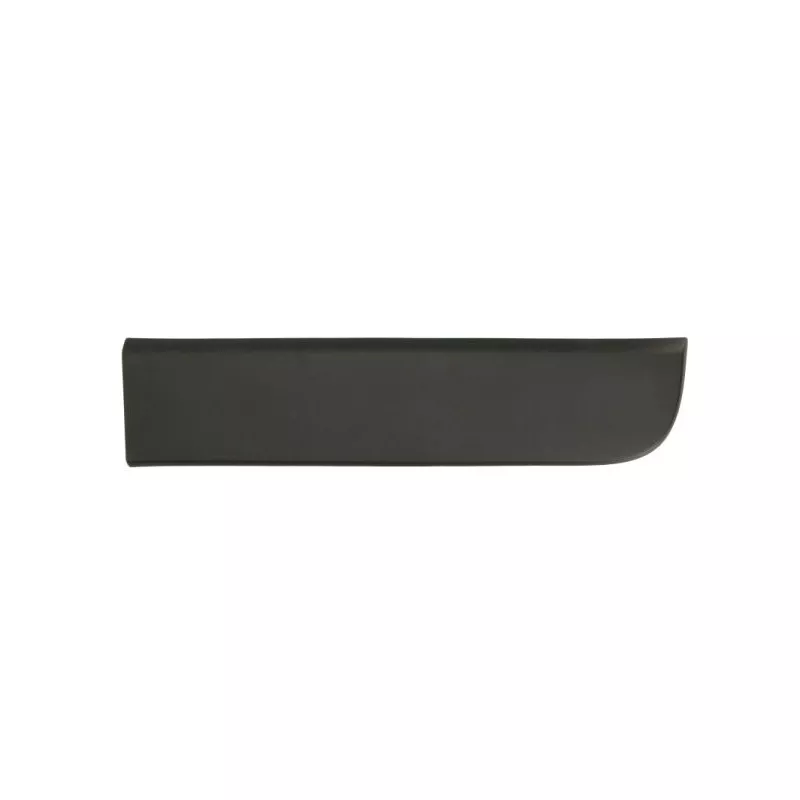 Baguette et bande protectrice, porte arrière droit BLIC 5703-06-6092572P