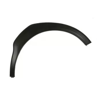 Baguette et bande protectrice, aile avant droit BLIC 5703-06-6740572P