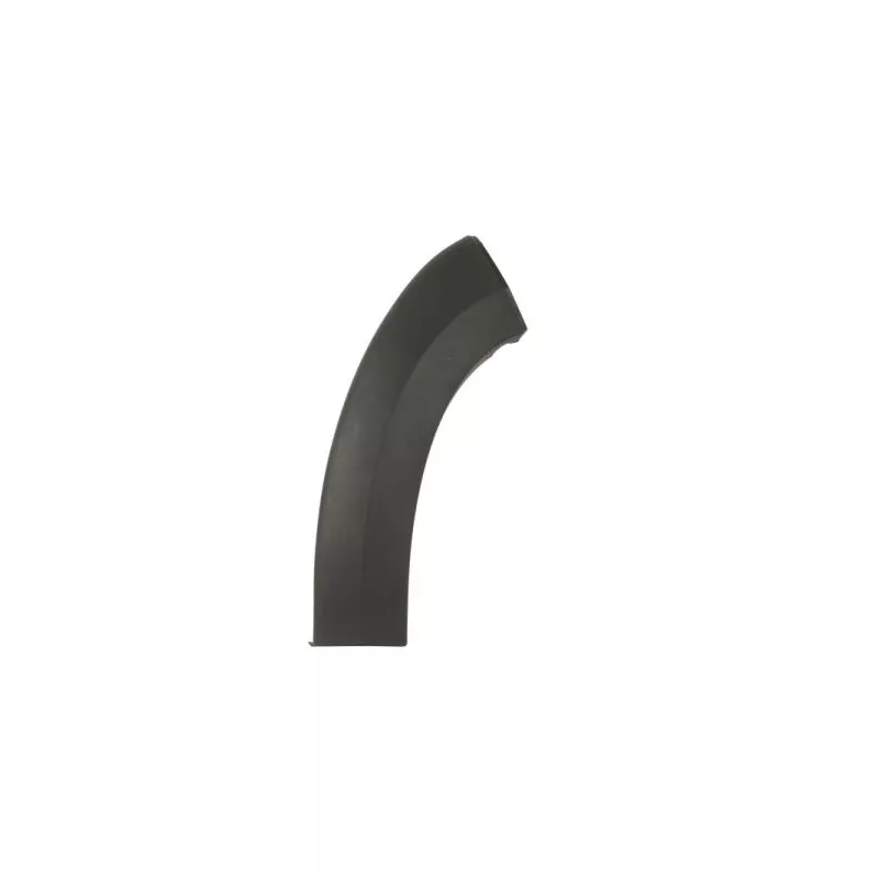 Baguette et bande protectrice, pare-chocs avant gauche BLIC 5703-08-2097371CP