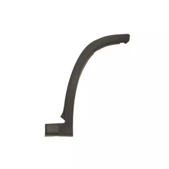 Baguette et bande protectrice, aile avant droit BLIC 5703-08-2097374BP