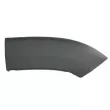 Baguette et bande protectrice, aile avant droit BLIC 5703-08-2098372P - Visuel 1