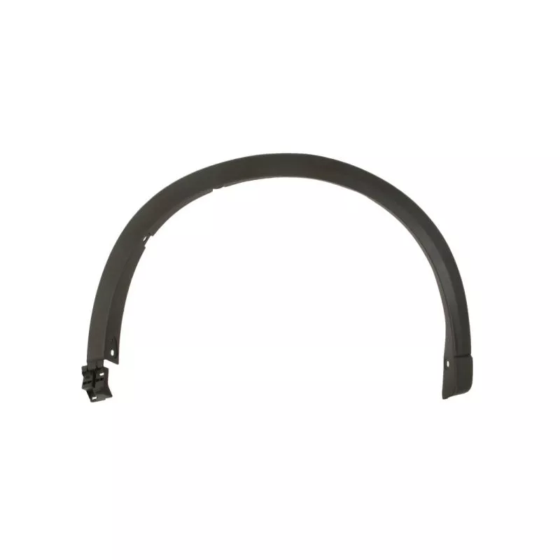 Baguette et bande protectrice, porte avant droit BLIC 5703-08-3496376P